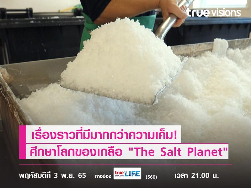 เรื่องราวที่มีมากกว่าความเค็ม! ศึกษาโลกแห่งเกลือไปกับสารคดี "The Salt Planet"