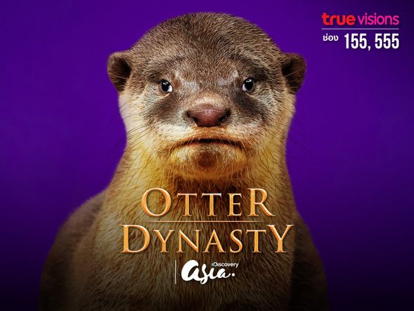 Otter Dynasty