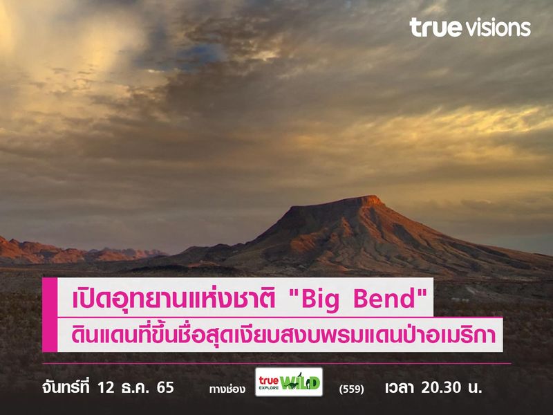 เปิดอุทยานแห่งชาติ "Big Bend" ดินแดนที่ขึ้นชื่อว่าสุดเงียบสงบพรมแดนป่าอเมริกา