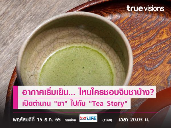 อากาศเริ่มเย็น... ไหนใครชอบจิบชาบ้าง? เปิดตำนาน "ชา" ไปกับ "Tea Story"