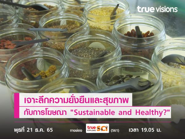 เจาะลึกความยั่งยืนและสุขภาพกับการโฆษณาผลิตภัณฑ์ต่างใน "Sustainable and Healthy?"