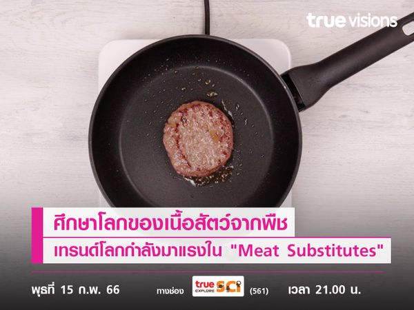 ศึกษาโลกของเนื้อสัตว์จากพืชกระแสเทรนด์โลกกำลังมาแรงใน "Meat Substitutes"