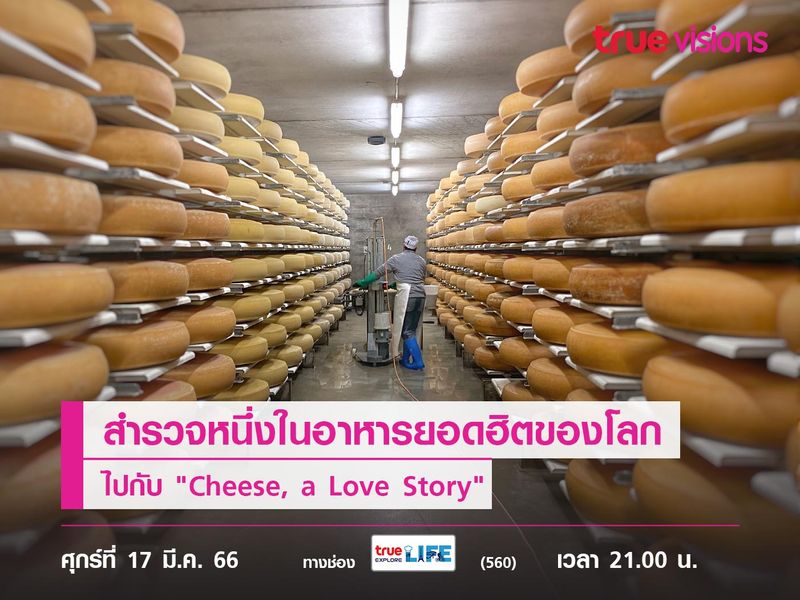 คนรักชีสต้องไม่พลาด! สำรวจหนึ่งในอาหารยอดฮิตของโลก ไปกับ "Cheese, a Love Story"