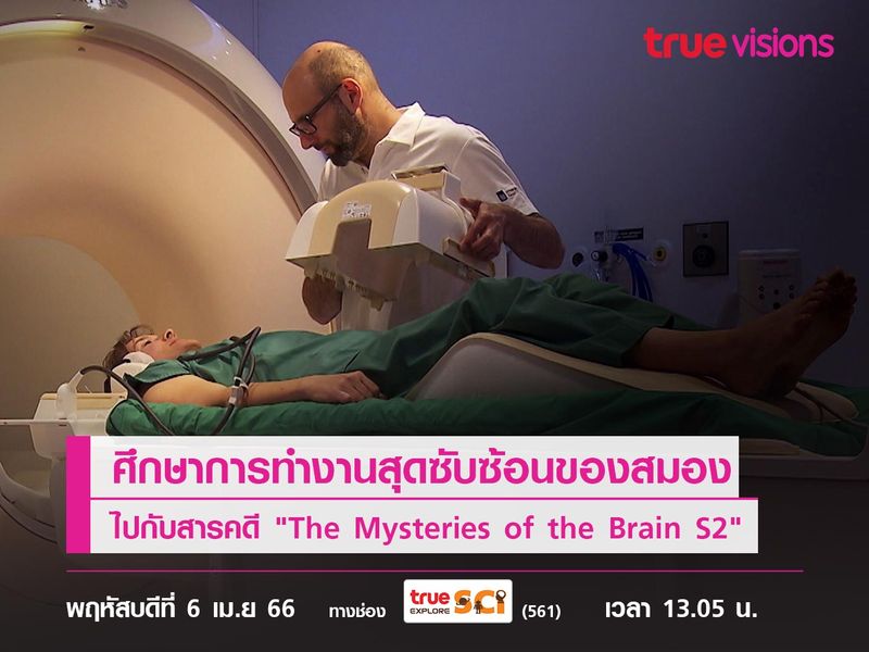 พบความมหัศจรรย์ของสมองศึกษาการทำงานสุดซับซ้อน ไปกับสารคดี "The Mysteries of the Brain S2"