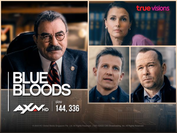 Blue Bloods S13