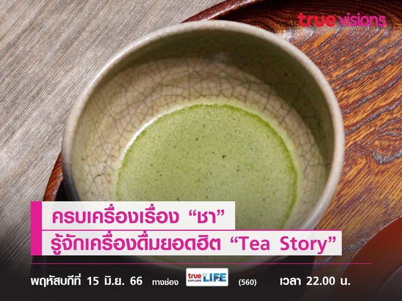 ครบเครื่องเรื่อง “ชา” ทำความรู้จักเครื่องดื่มยอดฮิตไปกับสารคดี “Tea Story” 