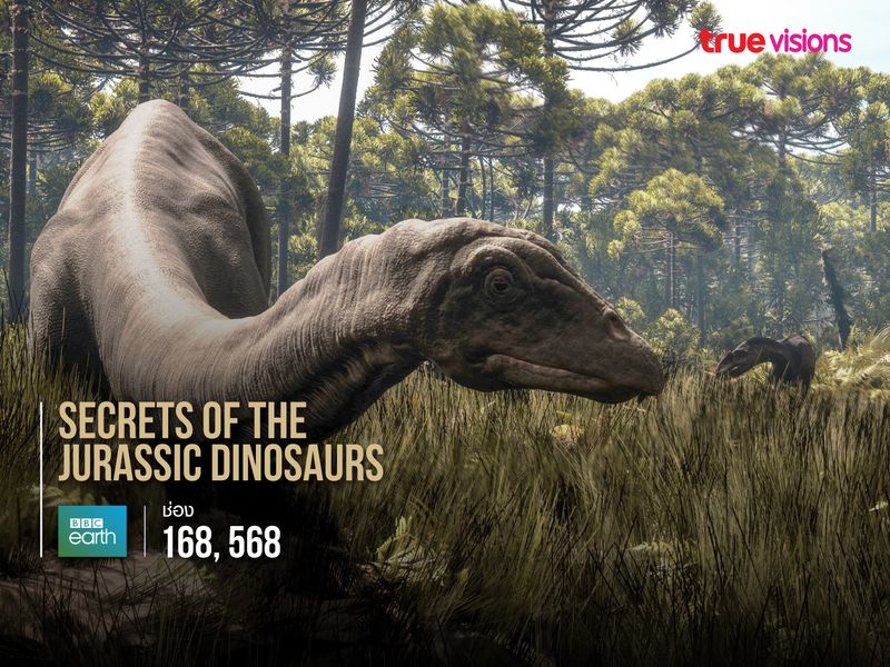 Secrets of the Jurassic Dinosaurs