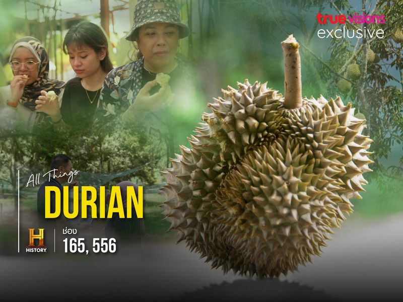 All Things Durian