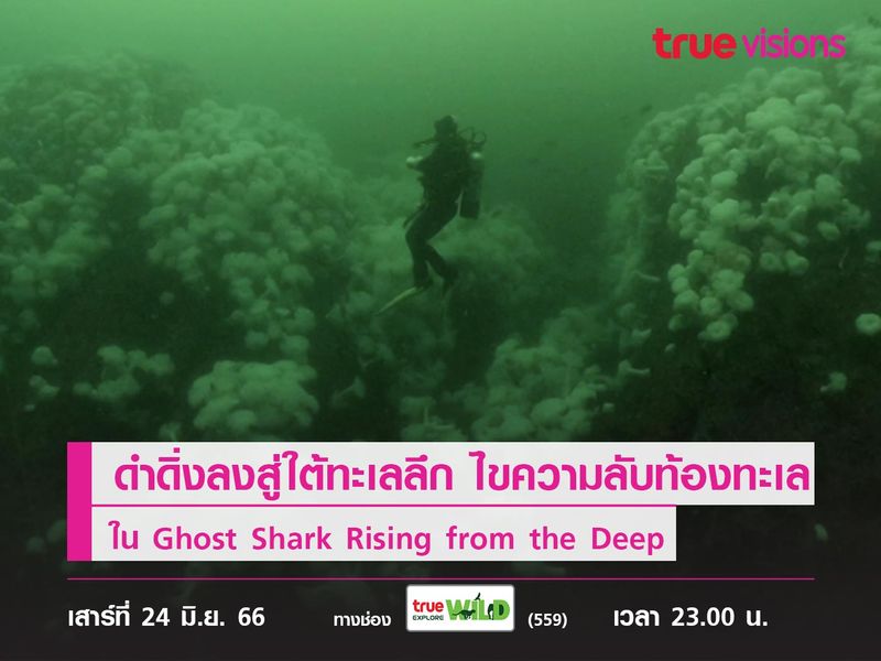 ดำดิ่งลงสู่ใต้ทะเลลึกไปด้วยกัน พร้อมไขความลับของท้องทะเล ใน Ghost Shark Rising from the Deep 