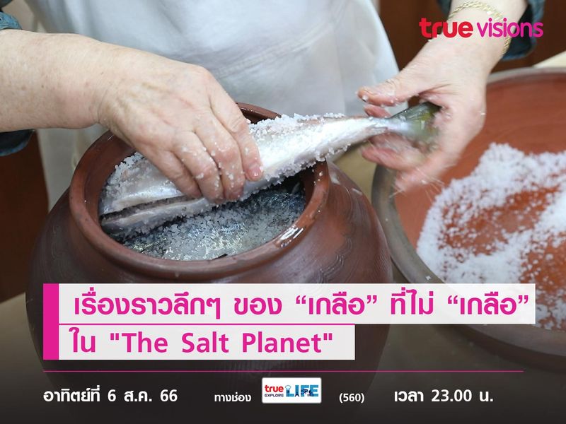 เรื่องราวลึกๆ ของ “เกลือ” ที่ไม่ “เกลือ” ใน "The Salt Planet"