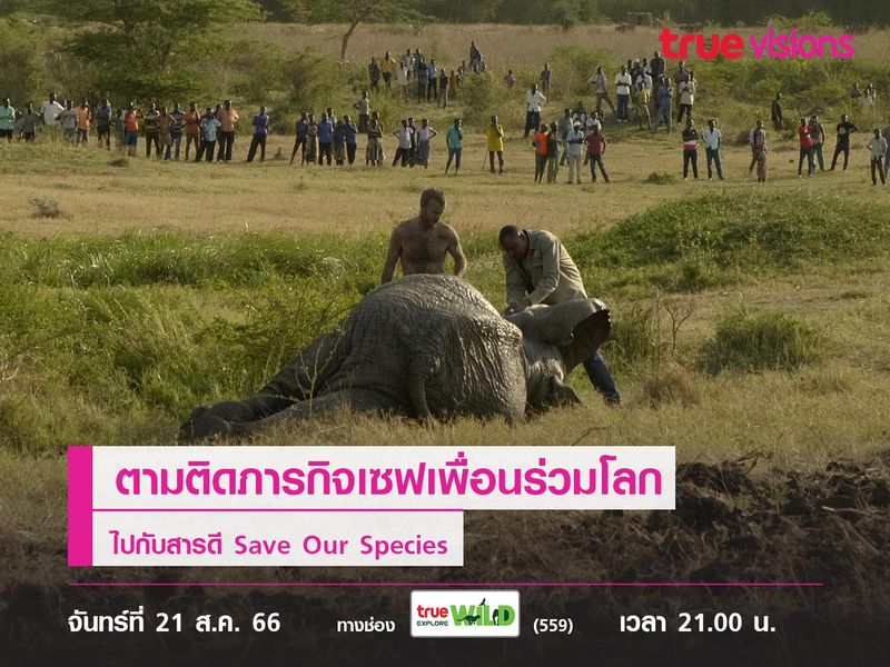 เซฟเพื่อนร่วมโลกไปกับสารดี Save Our Species