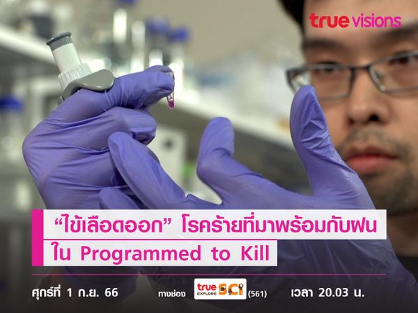 เช็คอาการ “ไข้เลือดออก” โรคร้ายที่มาพร้อมกับฝน ใน Programmed to Kill