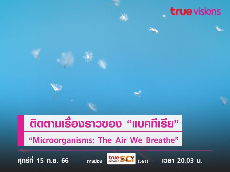 ติดตามเรื่องราวของ “แบคทีเรีย” ที่ลอยในอากาศ ใน “Microorganisms: The Air We Breathe”