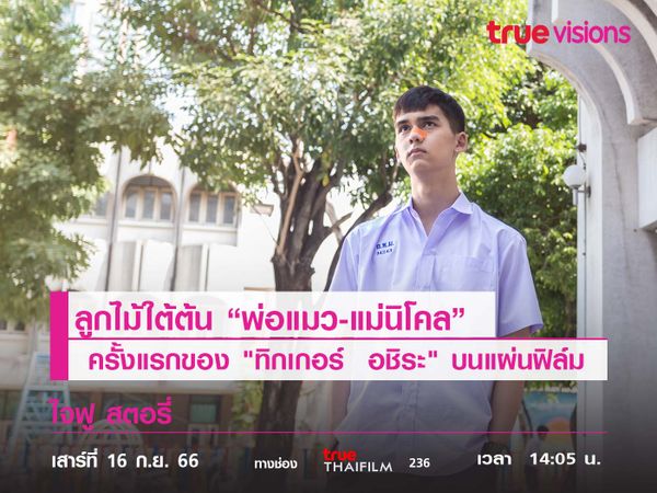 ลูกไม้ใต้ต้น "พ่อแมว-แม่นิโคล"   ครั้งแรกของ "ทิกเกอร์  อชิระ" บนแผ่นฟิล์ม 