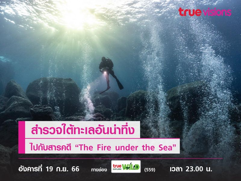 สำรวจใต้ทะเลอันน่าทึ่งไปกับสารคดี “The Fire under the Sea”