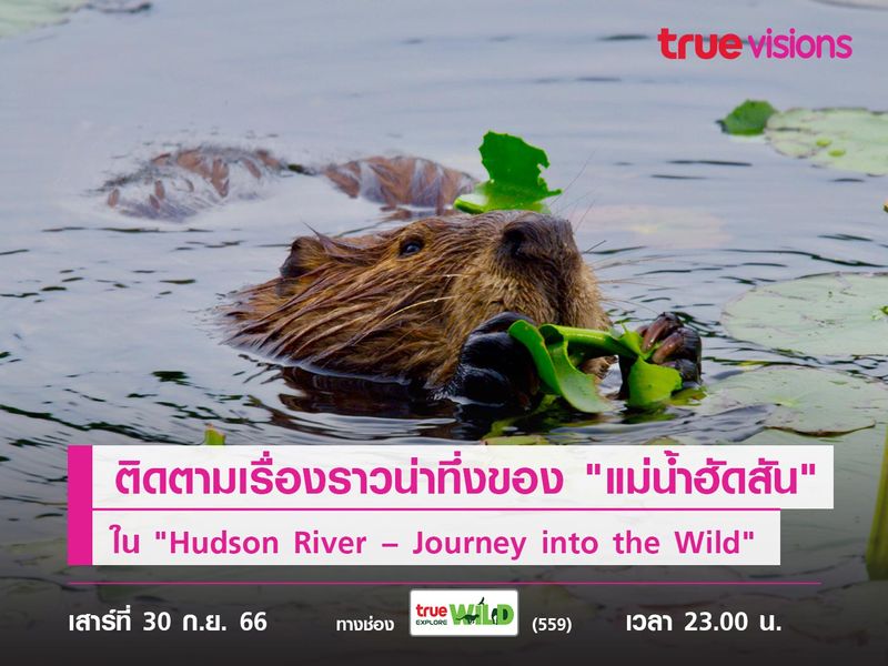 ติดตามเรื่องราวสุดน่าทึ่งของ "แม่น้ำฮัดสัน"  ใน "Hudson River – Journey into the Wild"