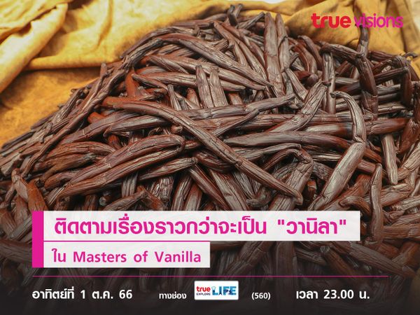 หอมวานิลา ติดตามเรื่องราวกว่าจะเป็น "วานิลา"  ใน Masters of Vanilla