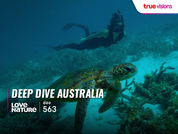 Deep Dive Australia