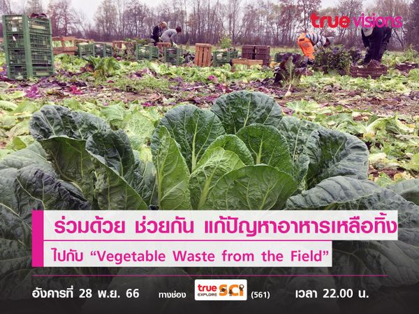 ร่วมด้วย ช่วยกัน แก้ปัญหาอาหารเหลือทิ้ง ไปกับ “Vegetable Waste from the Field” 