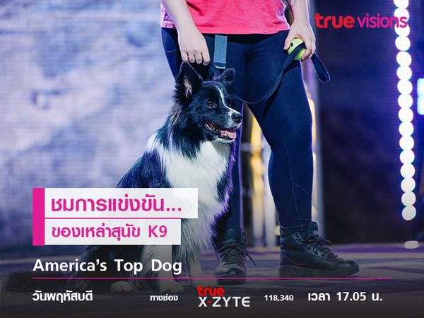 America’s Top Dog  ชมการแข่งขันของเหล่าสุนัข K9