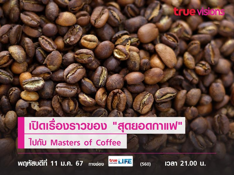 เปิดเรื่องราวของ "สุดยอดกาแฟ" ไปกับ Masters of Coffee