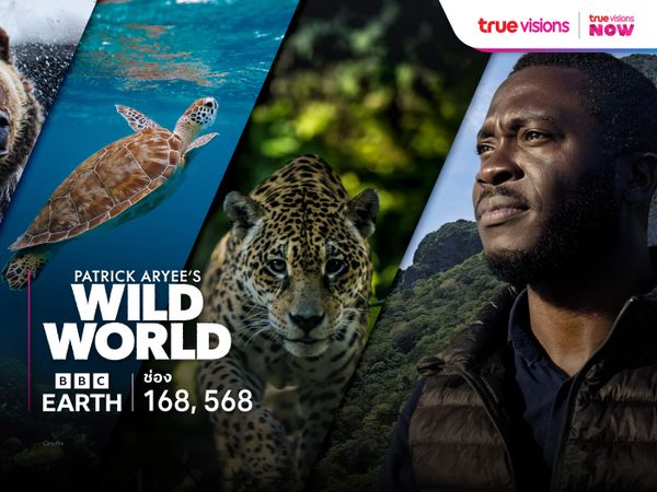 Patrick Aryee’s Wild World