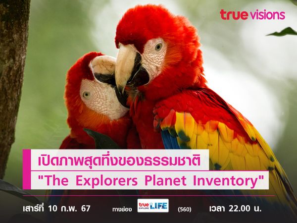 เปิดภาพสุดทึ่งของธรรมชาติ จาก "The Explorers Planet Inventory" 