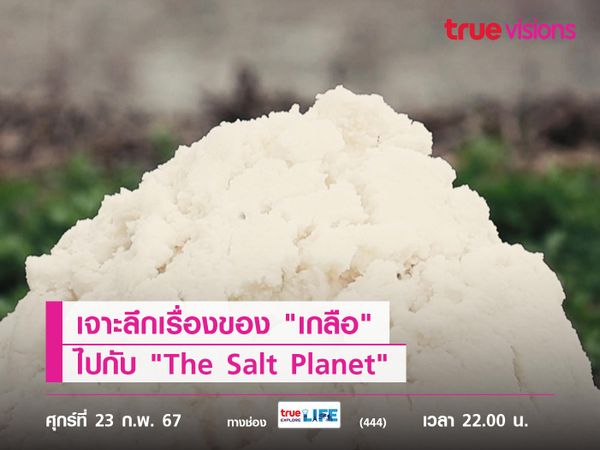 เจาะลึกเรื่องของ "เกลือ" ไปกับ "The Salt Planet"