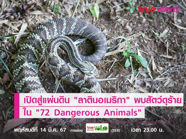 เปิดแผ่นดิน "ลาตินอเมริกา" พบสัตว์ดุร้าย ใน "72 Dangerous Animals: Latin America"