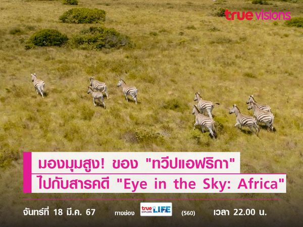 มองมุมสูง! ของ "ทวีปแอฟริกา" ไปกับสารคดี "Eye in the Sky: Africa"