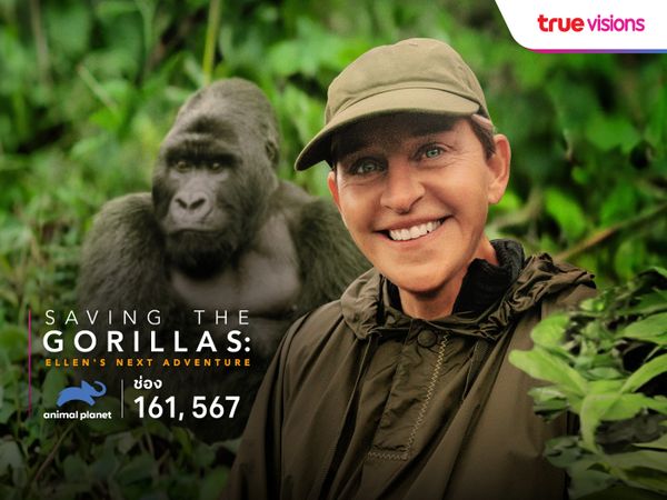 Saving the Gorillas: Ellen's Next Adventure