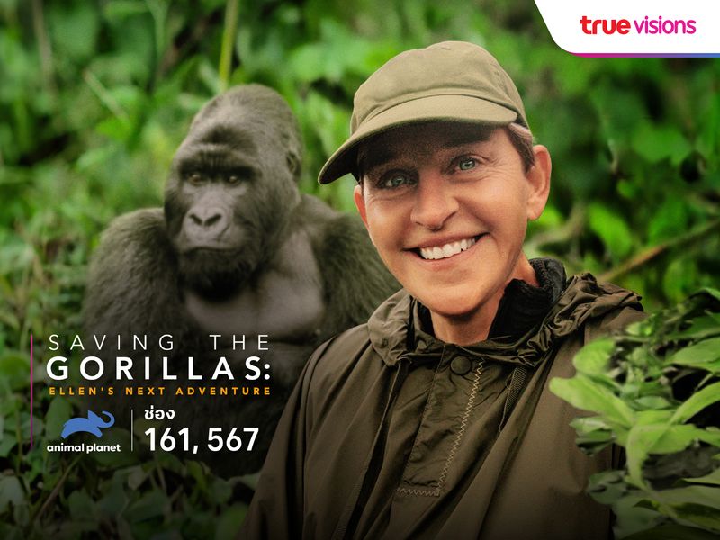 Saving the Gorillas: Ellen's Next Adventure