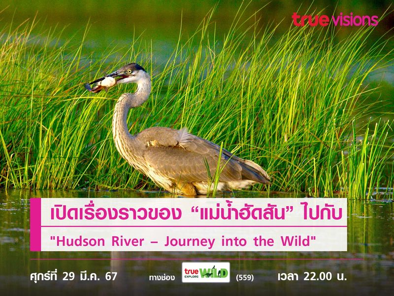 เปิดเรื่องราวของ “แม่น้ำฮัดสัน” ไปกับ "Hudson River – Journey into the Wild"