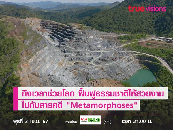 ถึงเวลาช่วยโลก ฟื้นฟูธรรมชาติให้สวยงามไปกับ "Metamorphoses"