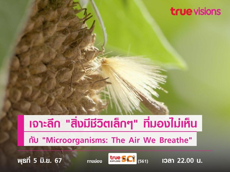 เจาะลึกเรื่องราว "สิ่งมีชีวิตเล็กๆ" ที่มองไม่เห็น ไปกับ "Microorganisms: The Air We Breathe"