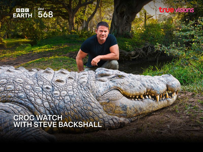 Croc Watch with Steve Backshall