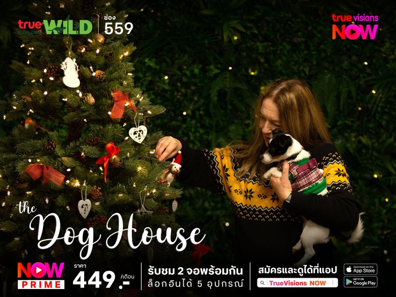 The Dog House S5