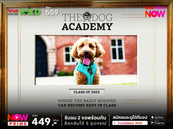 The Dog Academy S1