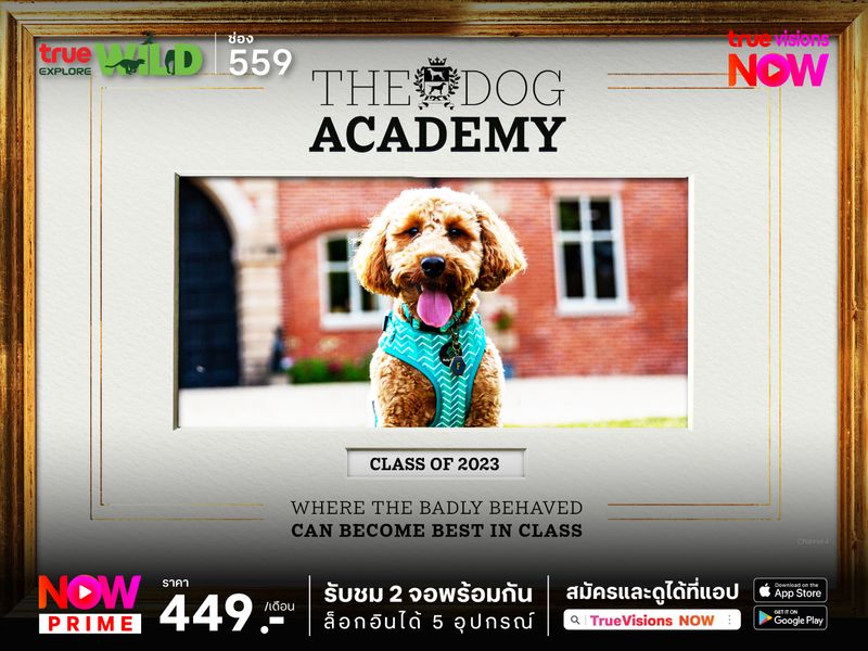 The Dog Academy S1