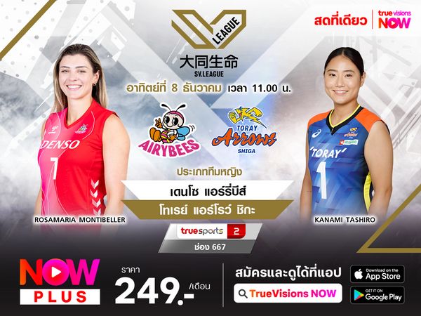 พรีวิว : เดนโซ แอร์รีบีส์ พบ โทเรย์ แอร์โรว์ ชิกะ  