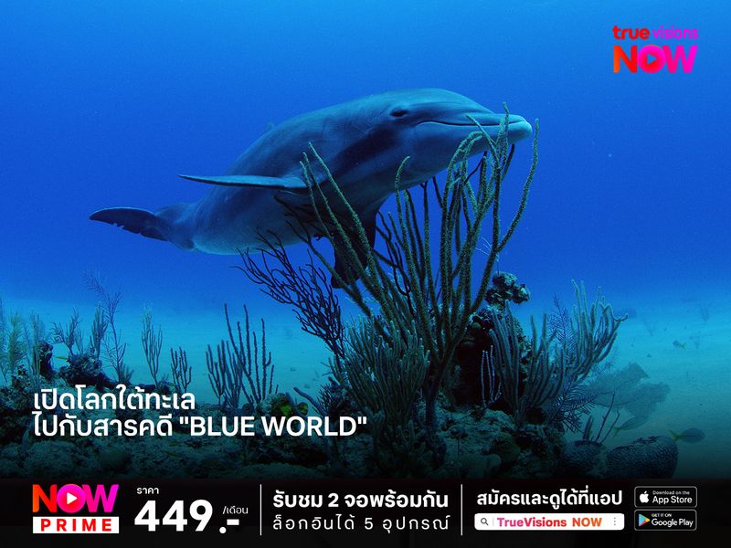 เปิดโลกใต้ทะเล  ไปกับสารคดี "Blue World"