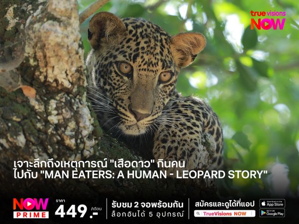 เจาะลึกถึงเหตุการณ์ "เสือดาว" กินคน ไปกับ "Man Eaters: A Human - Leopard Story"