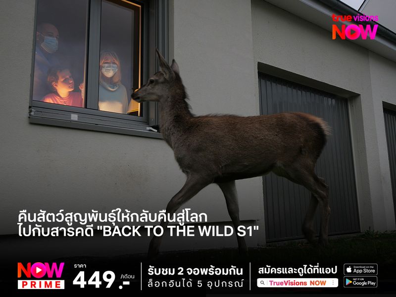 คืนสัตว์สูญพันธุ์ให้กลับคืนสู่โลก ไปกับสารคดี "Back to the Wild S1"