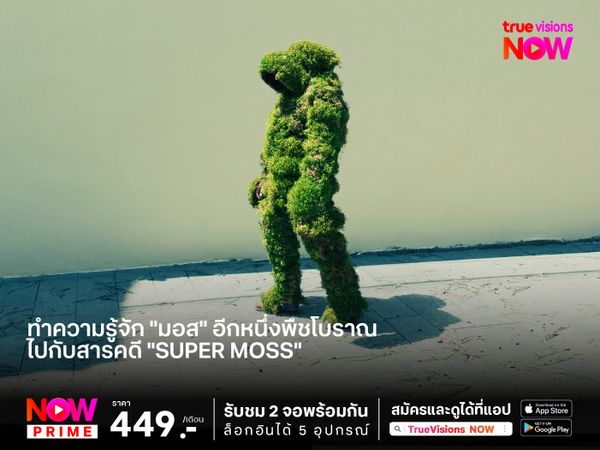 ทำความรู้จัก "มอส" อีกหนึ่งพืชโบราณ  ไปกับสารคดี "Super Moss"