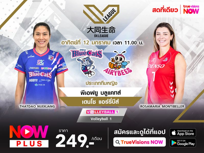 พรีวิว : พีเอฟยู บลูแคทส์ พบ เดนโซ แอร์รี่บีส์  