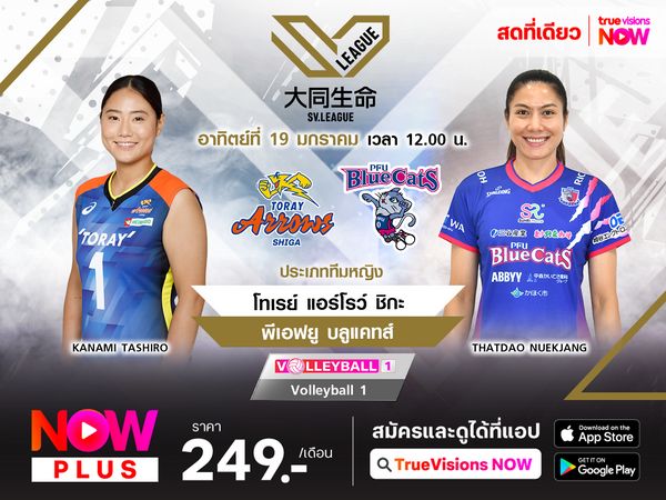 พรีวิว : โทเรย์ แอร์โรว์ ชิกะ พบ พีเอฟยู บลูแคทส์