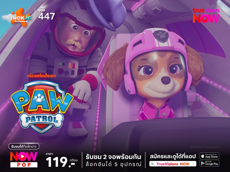 Paw Patrol: Air Rescue