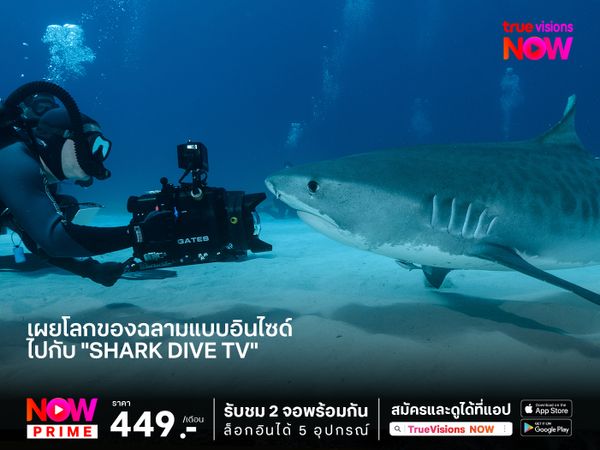 เผยโลกของฉลามแบบอินไซด์ ไปกับ "Shark Dive TV"