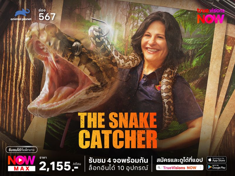 The Snake Catcher