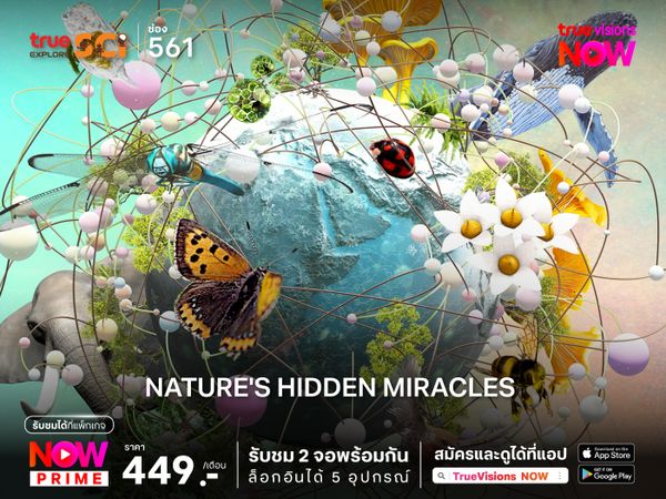 Nature's Hidden Miracles